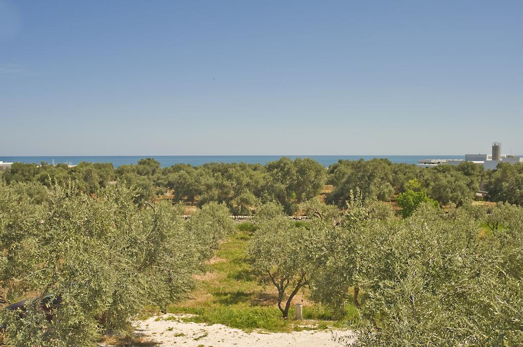 Masseria Spina Resort 모노폴리 객실 사진