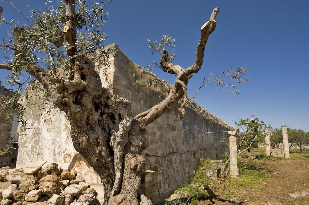Masseria Spina Resort 모노폴리 객실 사진